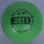 Afficher les détails pour minigolfshop.ch 2011 Image de minigolfshop.ch 2011