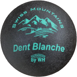 Bild von Dent Blanche