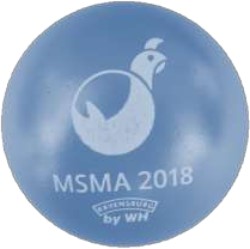 Image de MSMA Gampel 2018