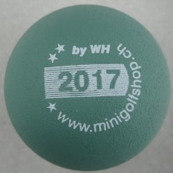 Bild von minigolfshop.ch 2017