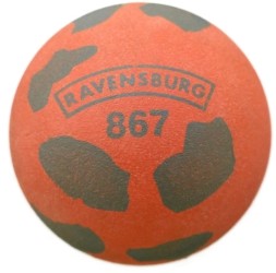 Bild von Ravensburg 867
