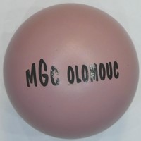 Immagine di MGC Olomouc 2011
