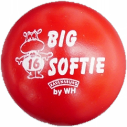 Bild von Big Softie 16